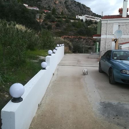 Stone House In Olive Grove Villa Tolón Exterior foto