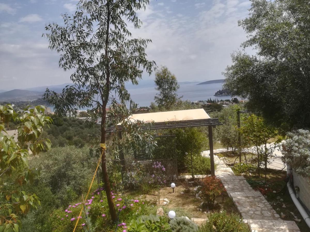 Stone House In Olive Grove Villa Tolón Exterior foto
