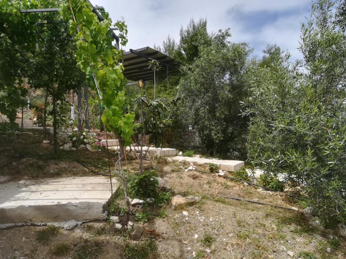 Stone House In Olive Grove Villa Tolón Exterior foto
