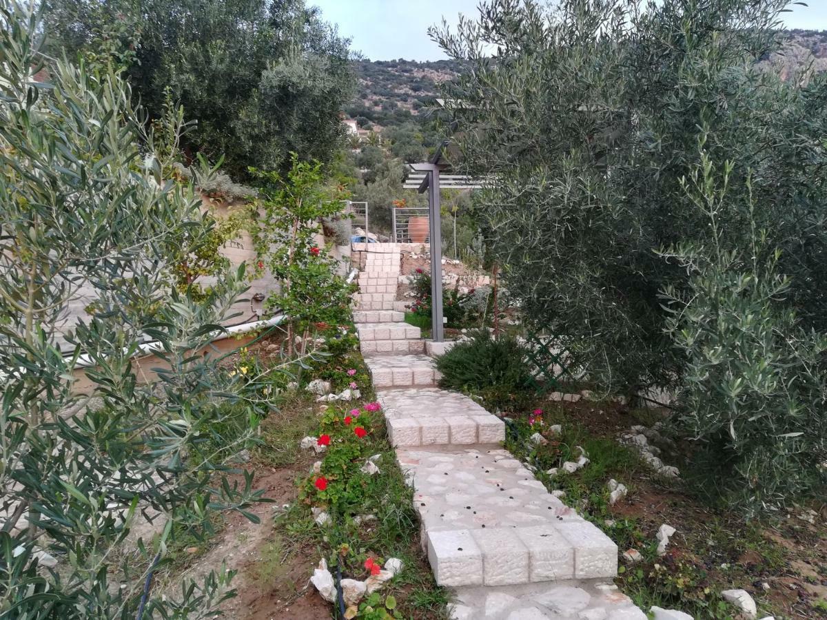 Stone House In Olive Grove Villa Tolón Exterior foto